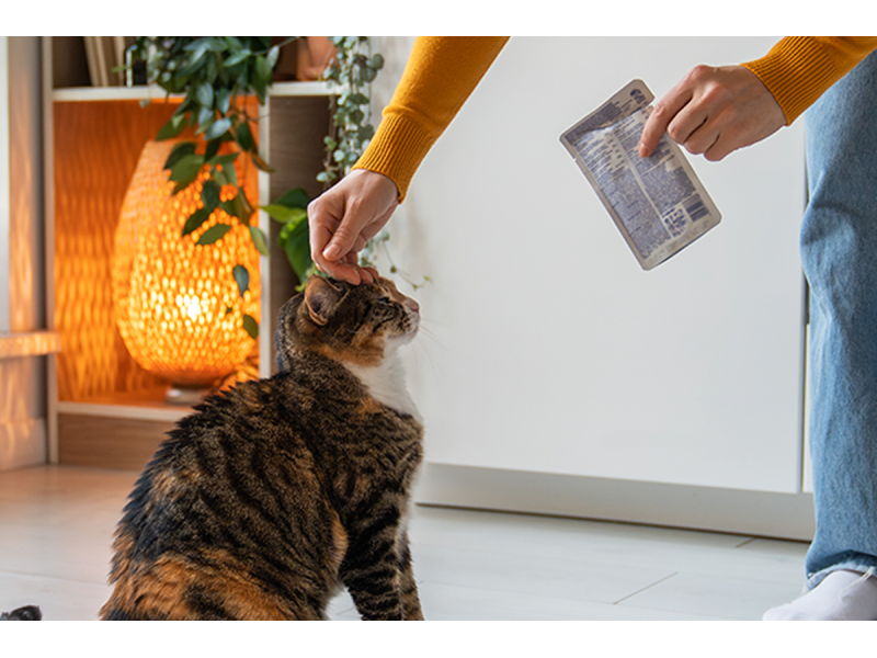 Driving efficiency in Pet Food Manufacturing: advanced automation transforms production